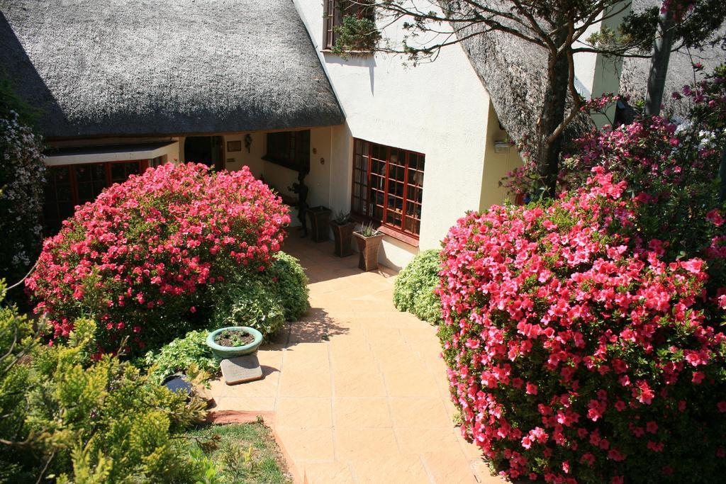 Thatchings Bed And Breakfast Nottingham Road Εξωτερικό φωτογραφία